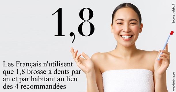 https://selarl-dr-simine-hassaneyn.chirurgiens-dentistes.fr/Français brosses