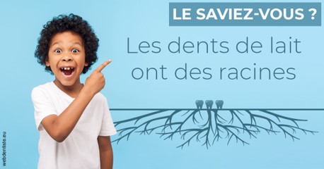 https://selarl-dr-simine-hassaneyn.chirurgiens-dentistes.fr/Les dents de lait 2
