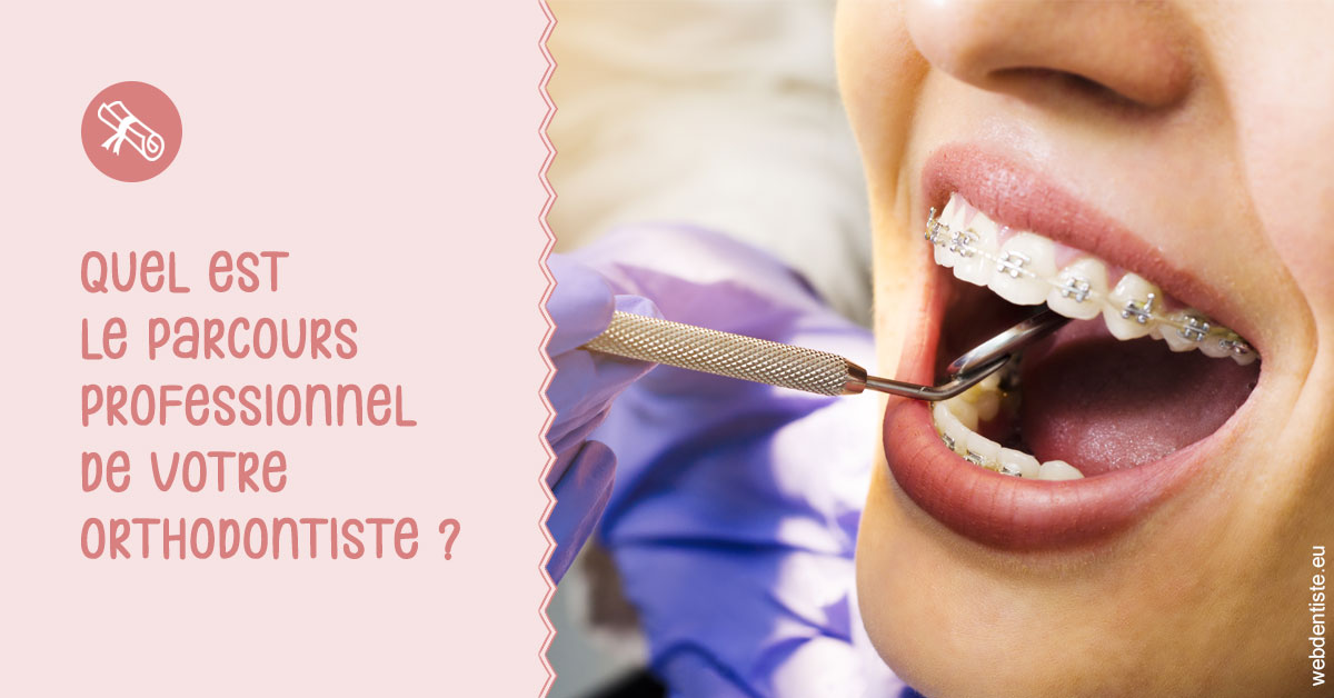 https://selarl-dr-simine-hassaneyn.chirurgiens-dentistes.fr/Parcours professionnel ortho 1