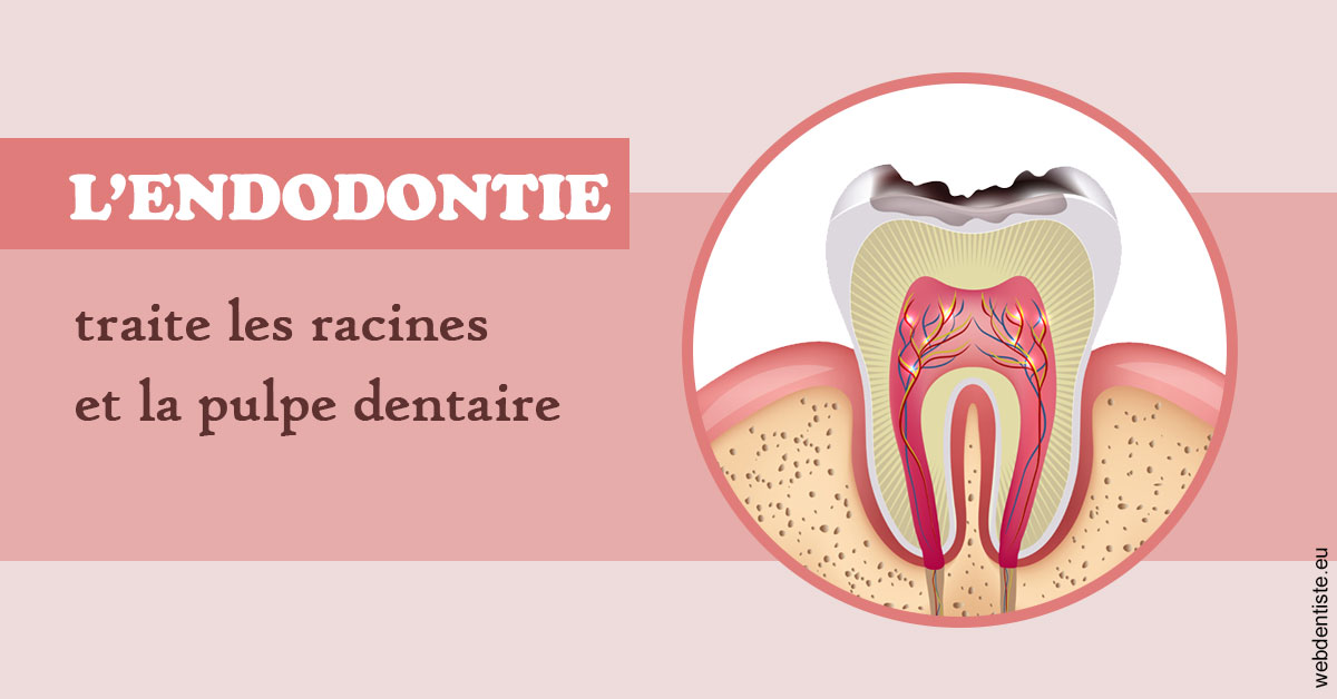 https://selarl-dr-simine-hassaneyn.chirurgiens-dentistes.fr/L'endodontie 2