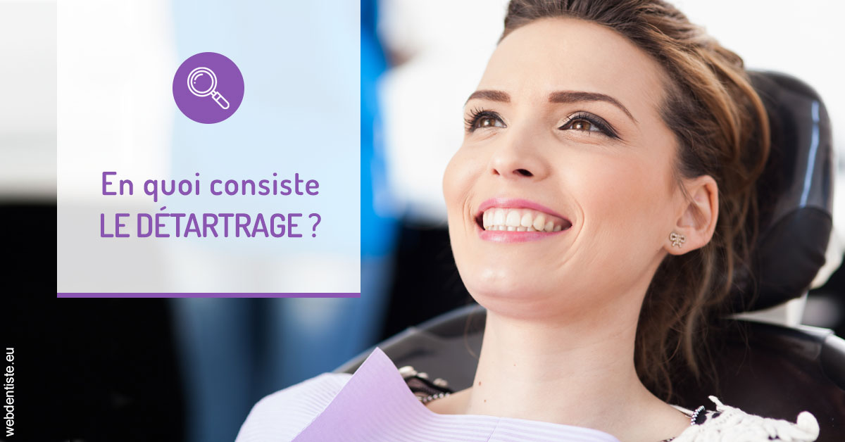 https://selarl-dr-simine-hassaneyn.chirurgiens-dentistes.fr/En quoi consiste le détartrage 2