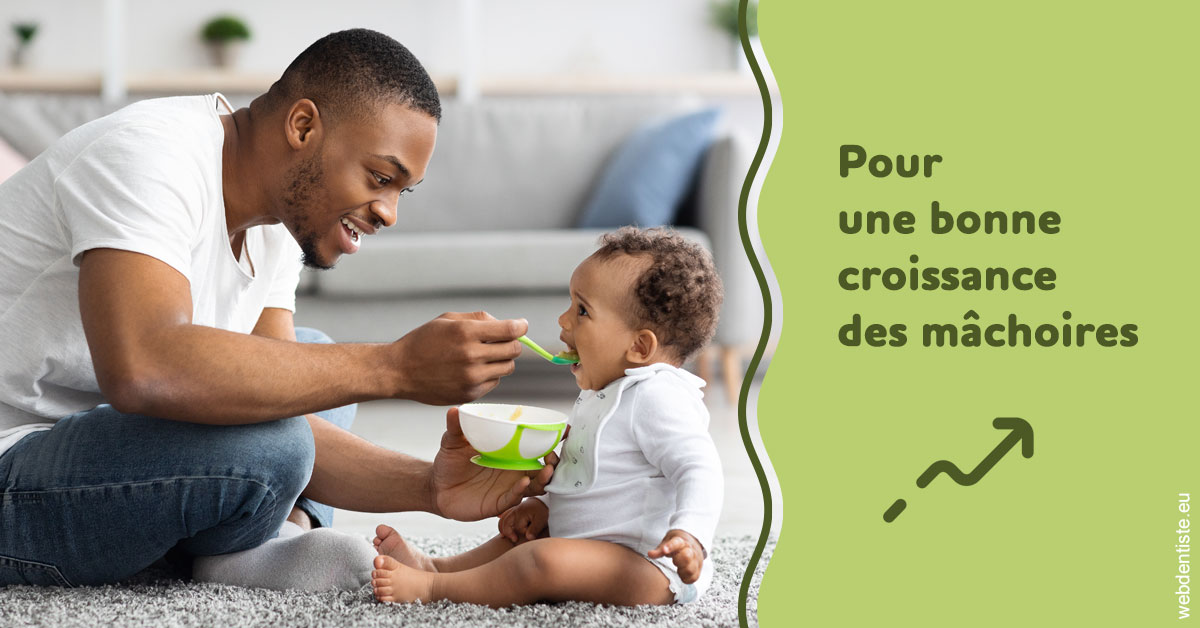 https://selarl-dr-simine-hassaneyn.chirurgiens-dentistes.fr/Croissance des mâchoires 1